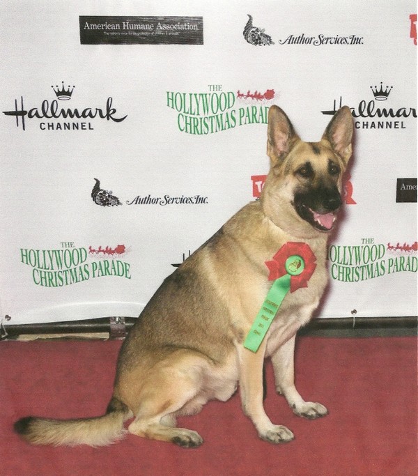 RIN TIN TIN The Lineage and Legacy